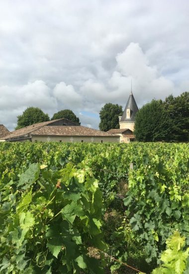 Vignes Château Escalette
